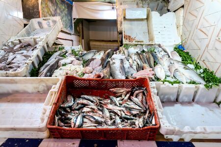 fish in the market, beautiful photo digital pictureの写真素材