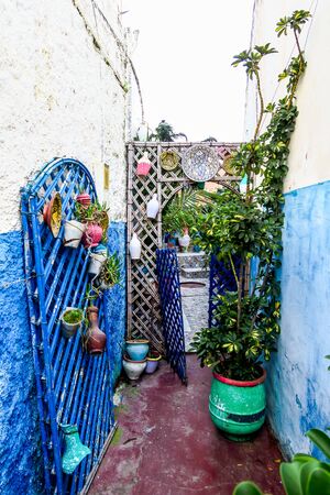 flowers in pots, beautiful photo digital pictureの写真素材