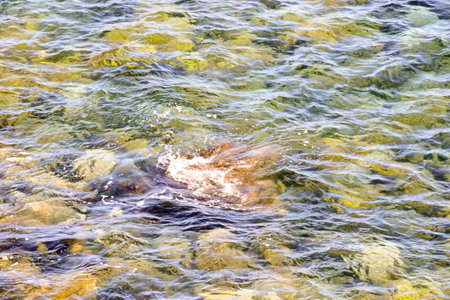 Picture of the Water Pattern Texture Background