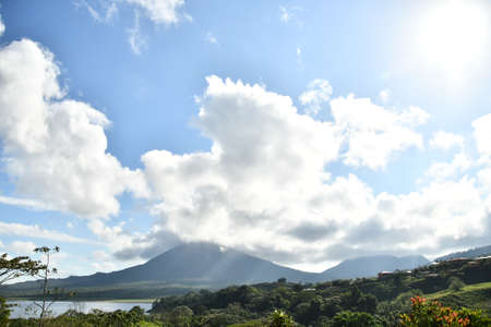 tree on the beach, photo as a background, photo as a background, digital imageの写真素材