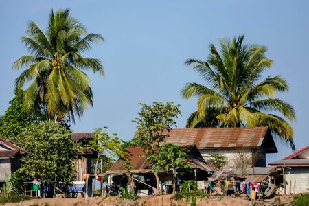 palm trees on the beach, beautiful photo digital pictureの写真素材