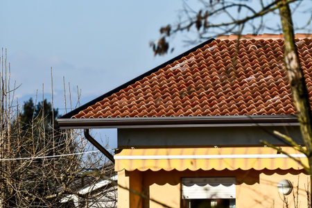 roof of temple, photo as a background, digital image