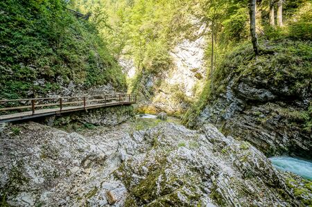 bridge in the forest, beautiful photo digital pictureの写真素材