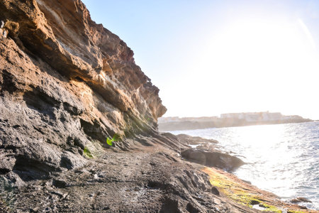 Photo Picture of the Beautiful Ocean Coast's View Montana Amarilla Tenerife