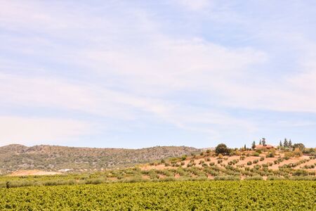 Photo Picture Scenic photography landscape European natural countrysideの写真素材