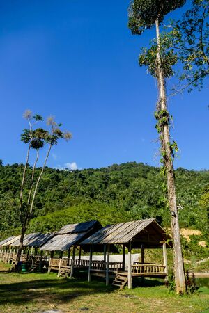 house in the garden, beautiful photo digital pictureの写真素材