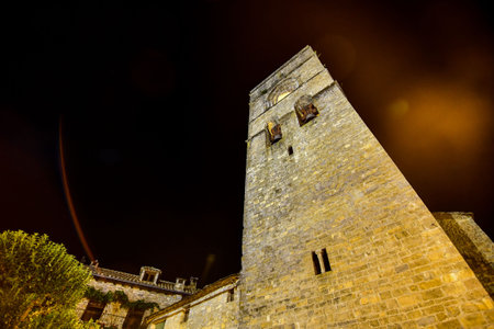 tower of castle, photo as a background, digital image