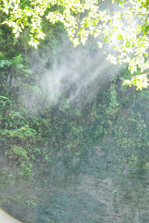 waterfall in forest, beautiful photo digital picture