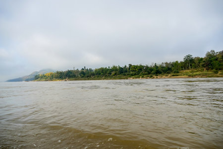 river in the summer, beautiful photo digital picture