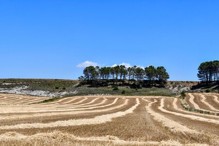 rural landscape of tuscany, photo as a background, photo as a background, digital imageの写真素材