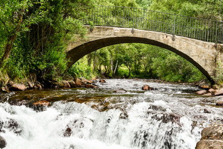 bridge over river, photo as a background, digital image