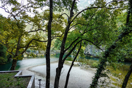 alley in park, beautiful photo digital picture