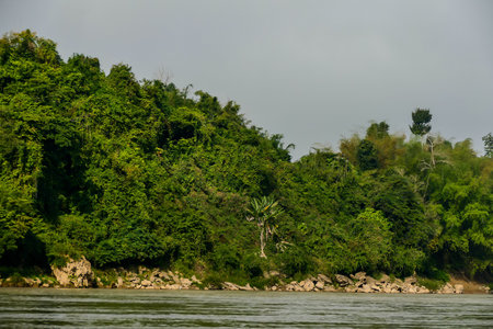 tree on the beach, beautiful photo digital pictureの写真素材