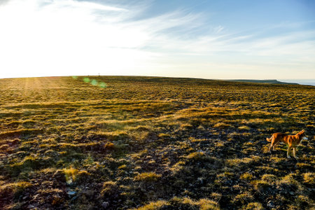 plowed field in spring, beautiful photo digital picture