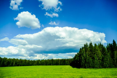 green field and blue sky, beautiful photo digital pictureの写真素材