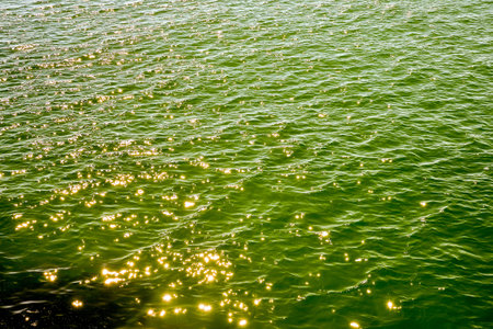 Picture of the Water Pattern Texture Background