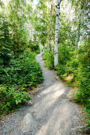 path in forest, in Sweden Scandinavia North Europe