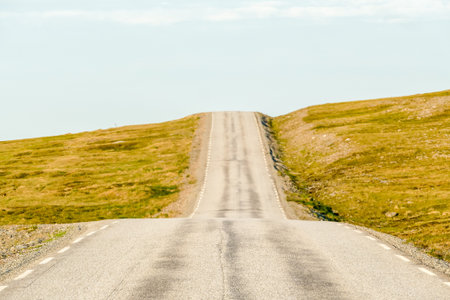 road in the field, beautiful photo digital picture