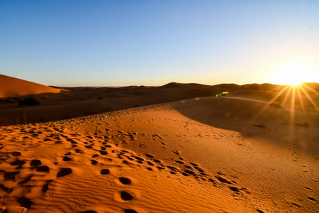 sand dunes in the desert, photo as background