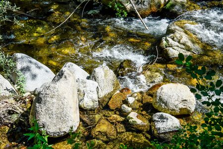 stream in forest, photo as a background, digital imageの写真素材