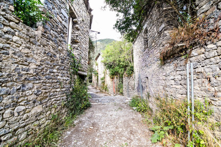 path in park, photo as a background , in janovas fiscal sobrarbe , huesca aragon province