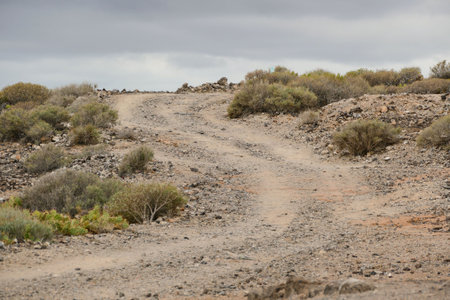 Dirt road desert