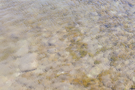 Water Pattern Texture, water surface