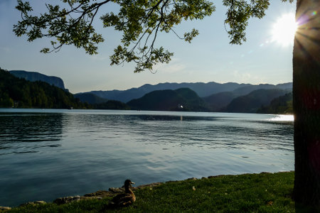 lake in mountains, digital photo picture as a background , taken in bled lake area, slovenia, europe