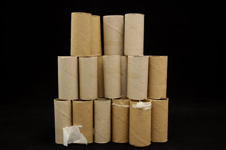 Empty Toilet Paper Roll