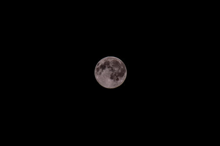 Photo Picture of the Moon in Night Skyの写真素材
