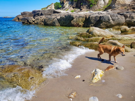 sea and rocks, photo as a background, digital imageの写真素材