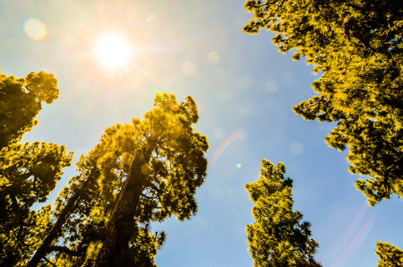 Photo Picture of a Valley in the Canary Islandsの写真素材