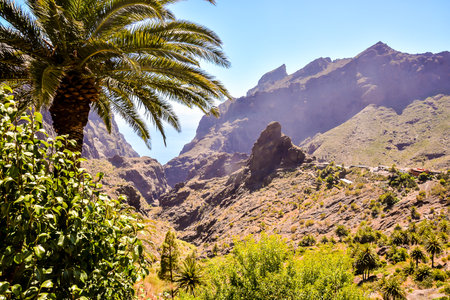 Photo Picture of a Valley in the Canary Islandsの写真素材