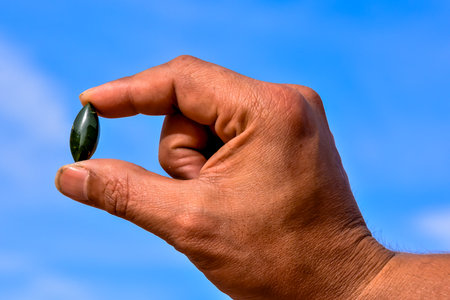 Photo Picture of Semi Precious Rock Stone Jewelの写真素材