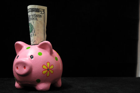 Save Money with One Pink Pig Piggy Bankの写真素材