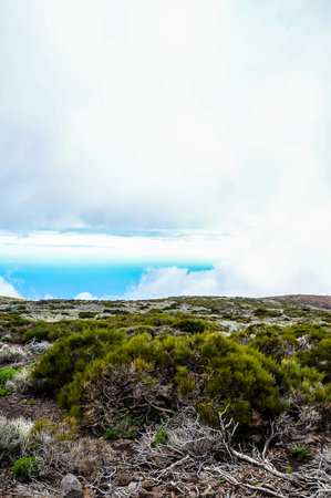 A field of green grass with a cloudy sky in the backgroundの写真素材