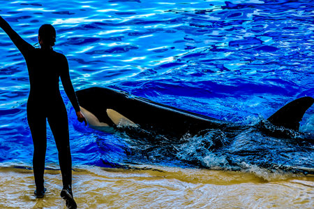 A woman is standing on the beach next to a large whale. The woman is holding the whale's tailの写真素材