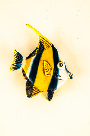 A yellow and blue fish with a black stripe on its tail.の写真素材