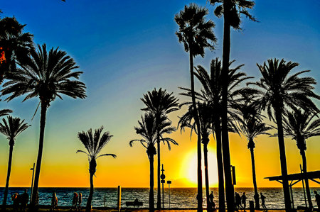 A beautiful sunset over the ocean with palm trees in the background. The sky is a mix of orange and blue hues, creating a serene and peaceful atmosphereの写真素材