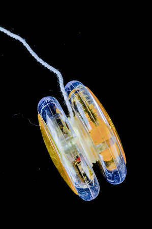 A clear plastic yo-yo with a white string attached to it.の写真素材