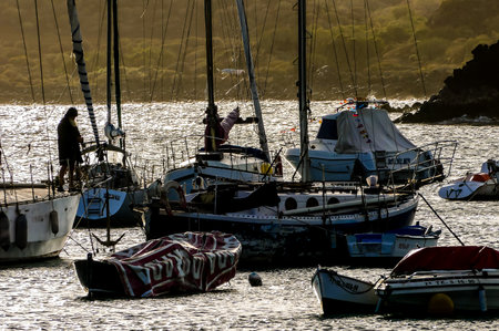 A group of sailboats are docked in a harbor. The boats are of various sizes and colors, including a red and white boat. The scene is peaceful and serene, with the boats floating on the calm waterの写真素材