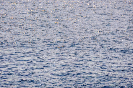 The water is calm and still, with ripples and waves that are barely visible. The sky is a light blue color, and the water appears to be a deep blue colorの写真素材