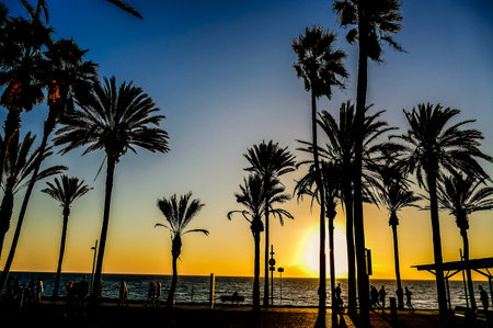 A beautiful sunset over the ocean with palm trees in the background. The sky is a mix of blue and orange hues, creating a serene and peaceful atmosphereの写真素材