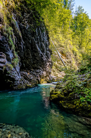 A stream of water flows through a rocky canyon. The water is clear and calm, and the surrounding trees are lush and green. The scene is peaceful and serene, with the sound of the waterの写真素材