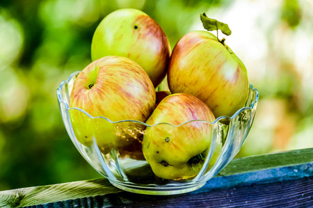 A bowl of apples sits on a wooden railing. The apples are green and red, and they are arranged in a way that makes them look fresh and inviting. The bowl is clearの写真素材