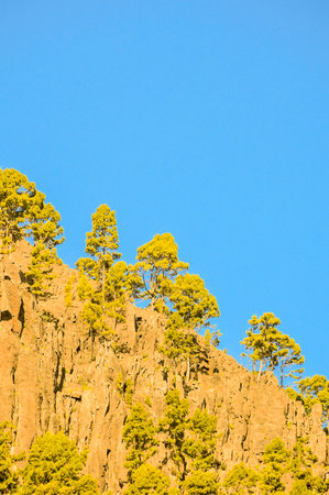 A mountain with trees on it and a blue sky. The trees are yellow and the sky is clearの写真素材