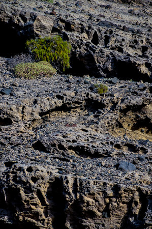 A rocky hillside with a small plant growing on it. The plant is surrounded by rocks and the hillside is full of them. The image has a rugged, natural feel to it, with the plant standing out as a smallの写真素材