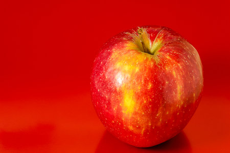 One Juicy Hot Red Apple over a Colored Backgroundの写真素材