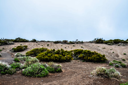 Cloudy Day in El Teide National Park Tenerife Canary Islands Spainの写真素材
