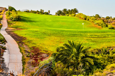 Golf Green Grass Field in a Tropical Climateの写真素材